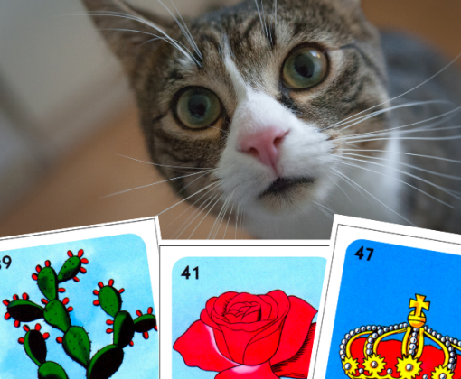 A tabby cat in the background with three Loteria cards in the foreground.
