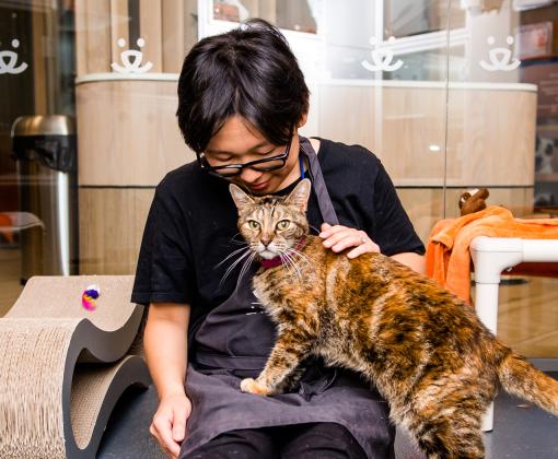 Volunteer holding tabby cat in lap in play area