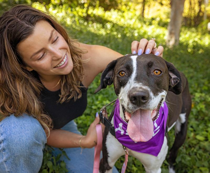Smiling person kneeling down to pet a dog's head