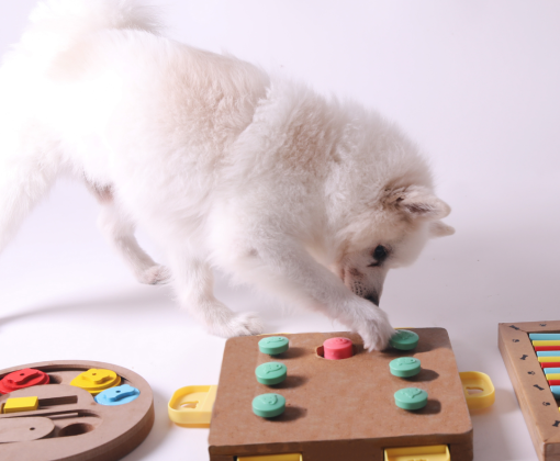 A fluffy white dog paws at a feeding puzzle on the ground