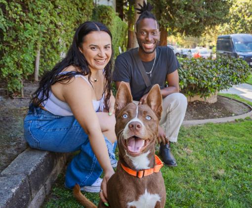 A couple sitting outside with a brown and white foster dog with upright ears and a smile