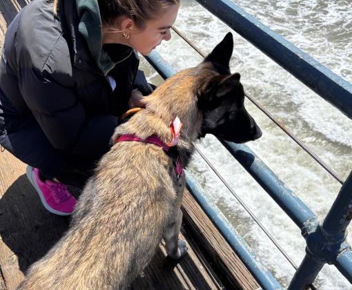 A person with a dog by their side looking at ocean waves together