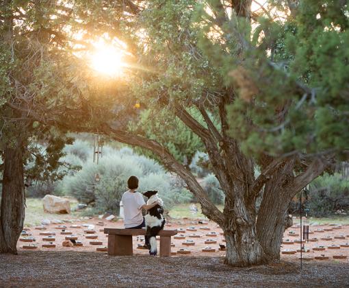 Person and dog sitting on a bench under trees at Angels Rest