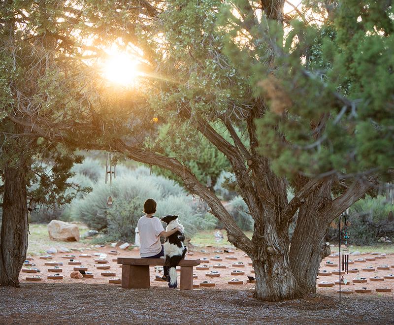 Person and dog sitting on a bench under trees at Angels Rest