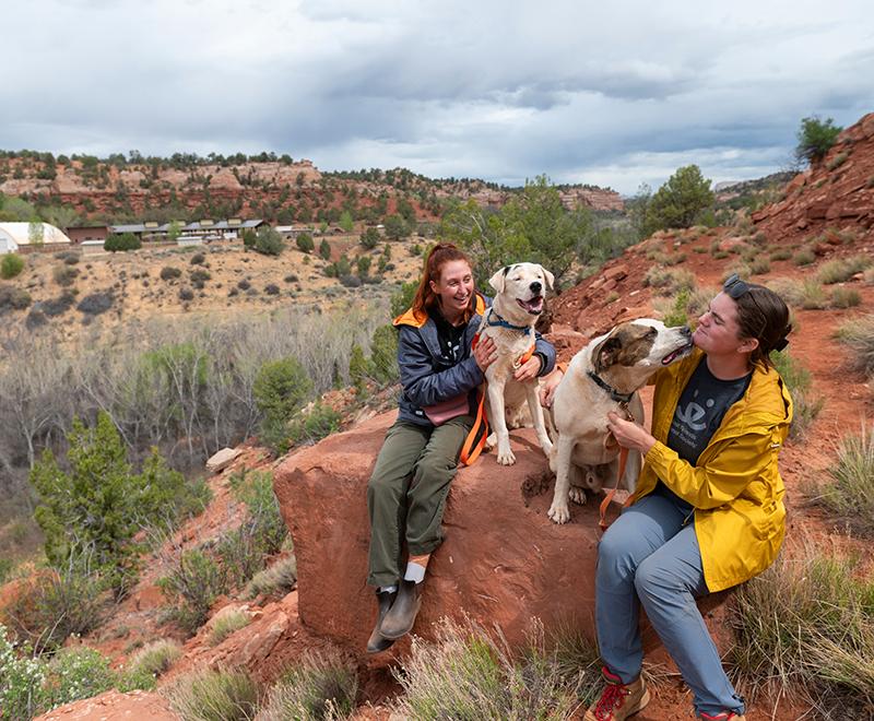 Two people with dogs at Best Friends Animal Sanctuary