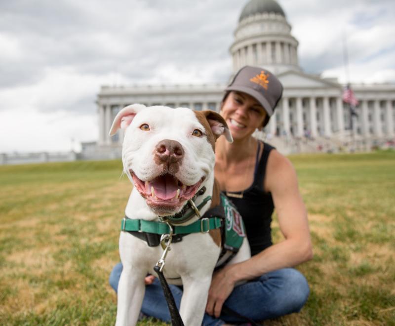woman and dog sitting in grass in front of legislative building