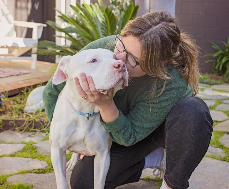 Person kneeling down next to a dog and kissing the side of their face