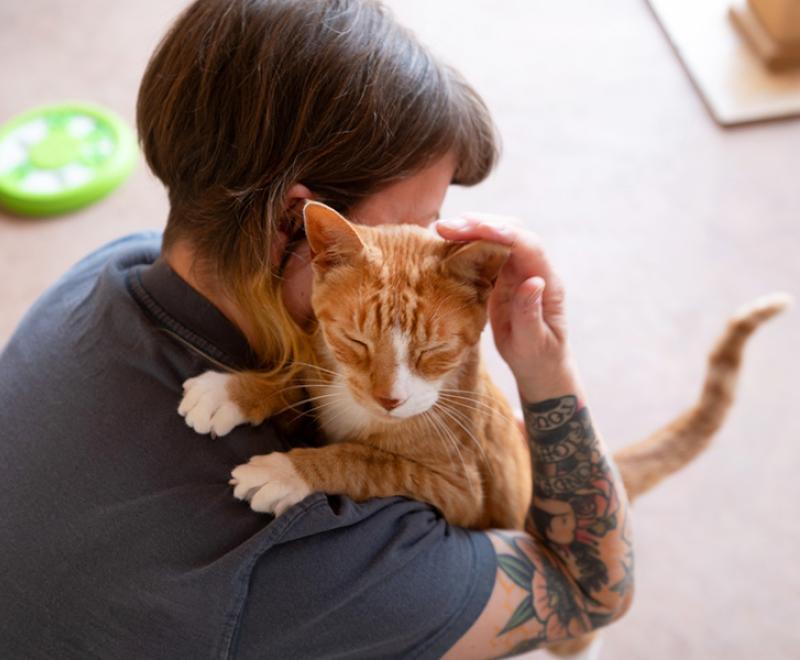 Person hugging an orange and white cat