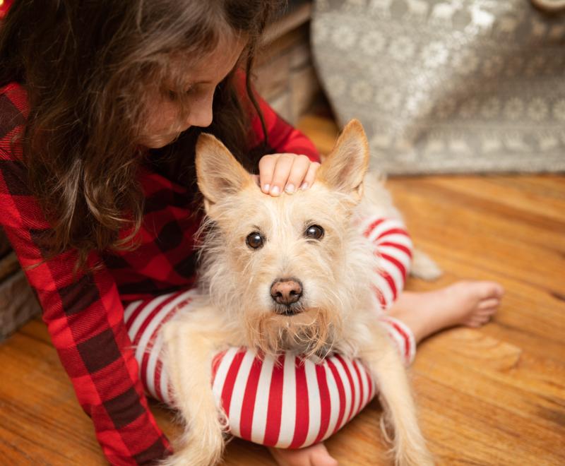 Person in holiday pajamas on the floor petting a white fluffy dog in her lap