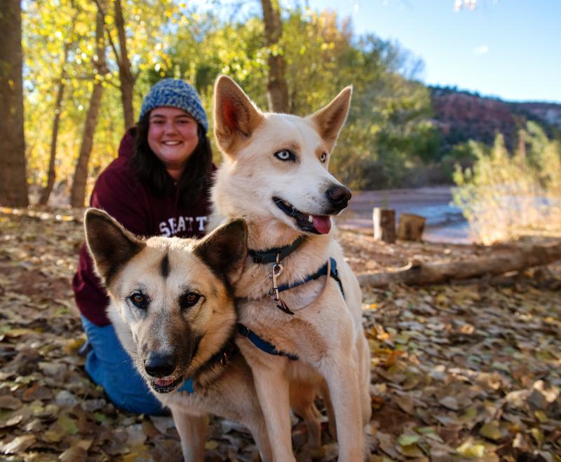 Smiling person on a hike in fallen leaves with two dogs in autumn