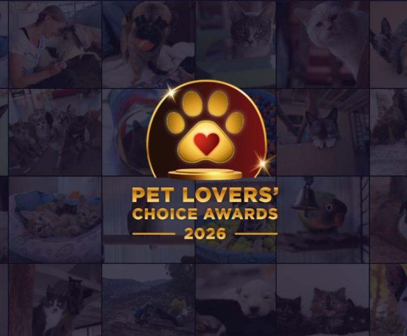 2026 Pet Lovers' Choice Awards graphic