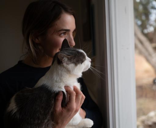 Person looking out a window while holding a cat