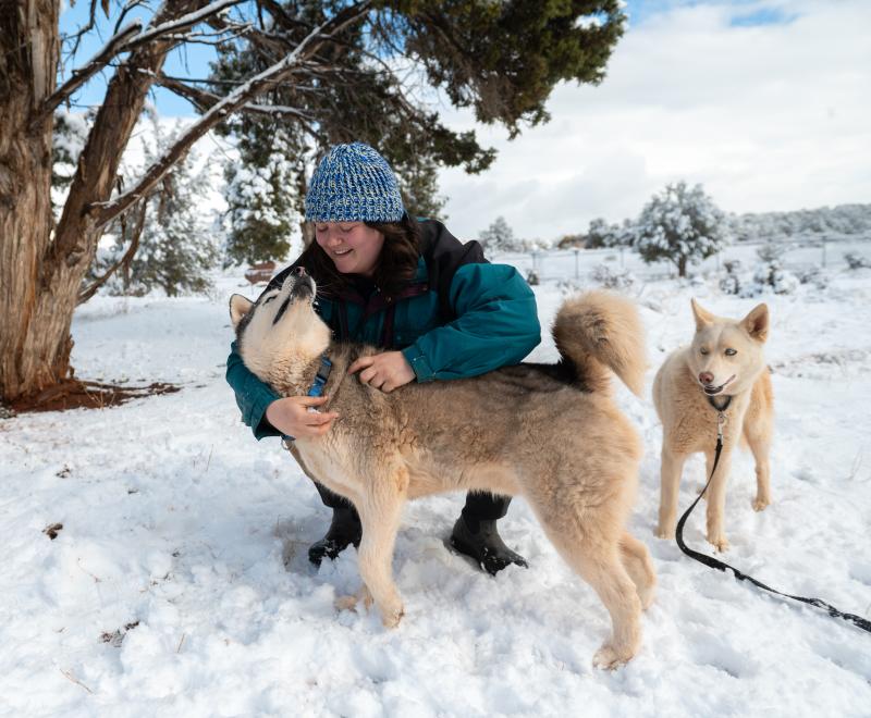 Person playing in snow with two dogs