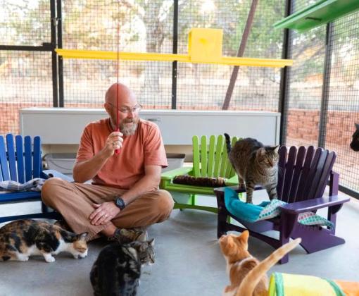 Smiling person volunteering with cats at Best Friends Animal Sanctuary in southern Utah