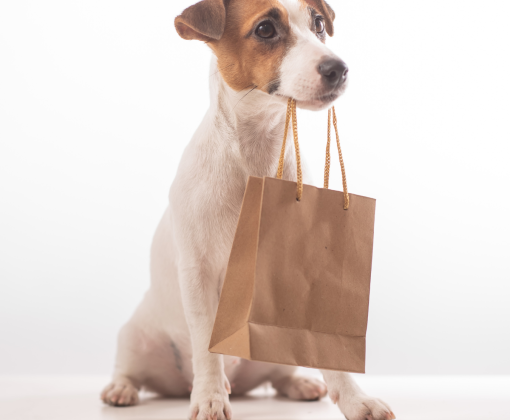 a brown and white dog holding the handles of a brown shopping bag in its mouth