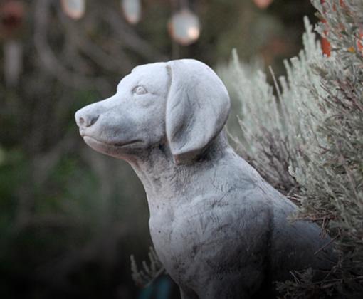 dog statue at Angels Rest amongst windchimes