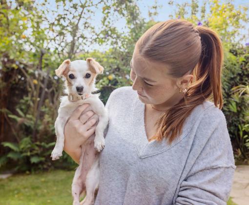 Person holding a small dog, dog memorials and dog loss grief support