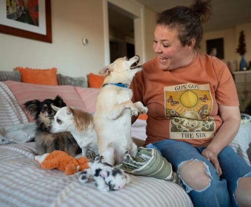 Person with dogs on a couch