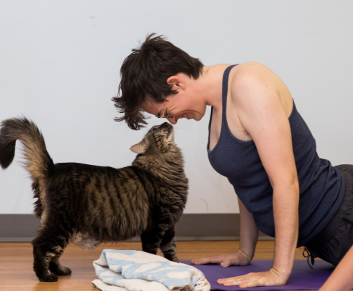 A fluffy cat touches noses with a woman doing yoga