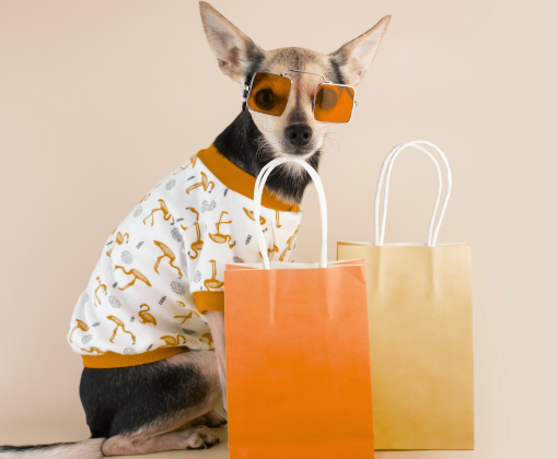 A small dog in a t-shirt and glasses with shopping bags