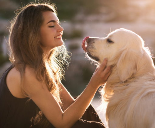 a woman pets a big white dog