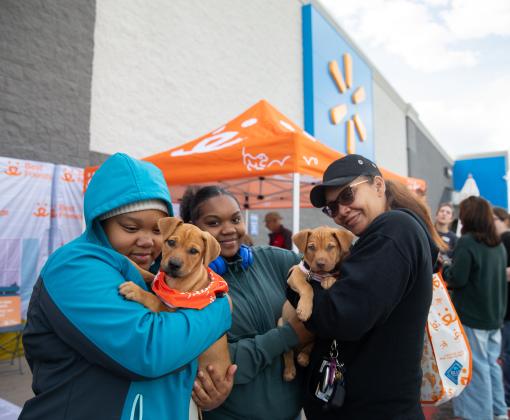 Smiling people holding puppies at an adoption event in front of a Walmart store