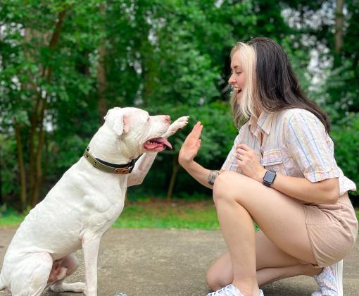 Person wearing BOBS® from Skechers® doing a high-five with a dog