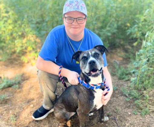 Person wearing BOBS® from Skechers® beside a dog