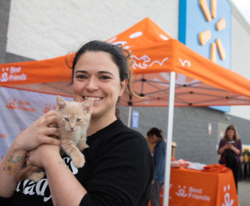 A smiling woman holding a kitten