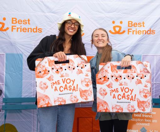 Two people holding Best Friends branded cardboard carriers containing cats