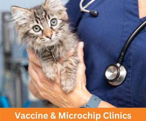 Free Vaccine & Microchip Clinic