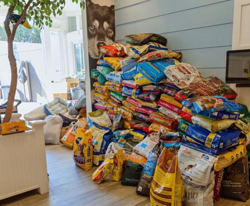stacks of donated food in shelter