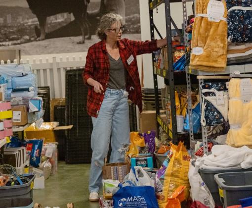 woman picking supplies from pet pantry shelf