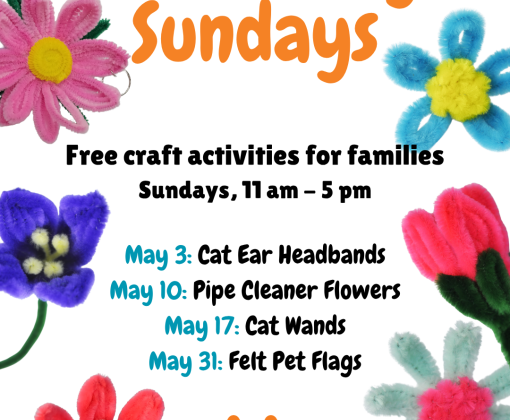 Pet and Play Sundays