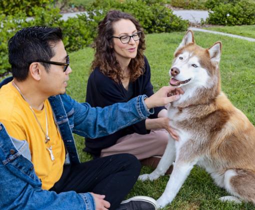 two people sitting on grass petting large husky-like dog