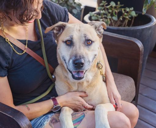 woman in chair on outdoor pation holding large tan dog