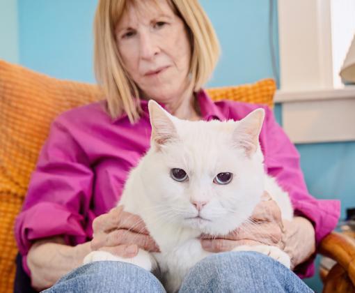 older woman holding white cat on lap
