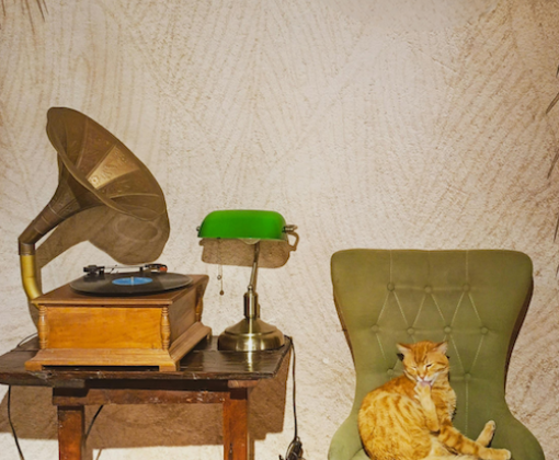 An orange cat sits on a vintage green chair beside a victrola