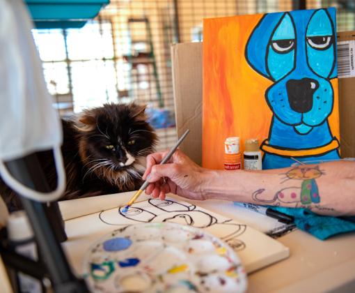 Person painting a dog beside a cat
