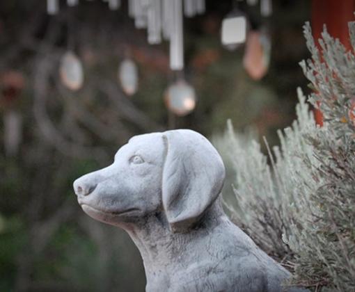 dog statue at Angels Rest amongst windchimes