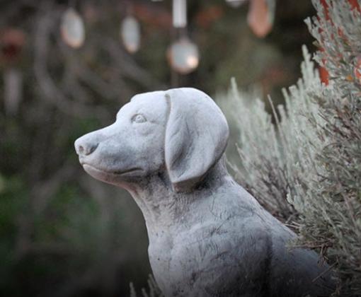 dog statue at Angels Rest amongst windchimes