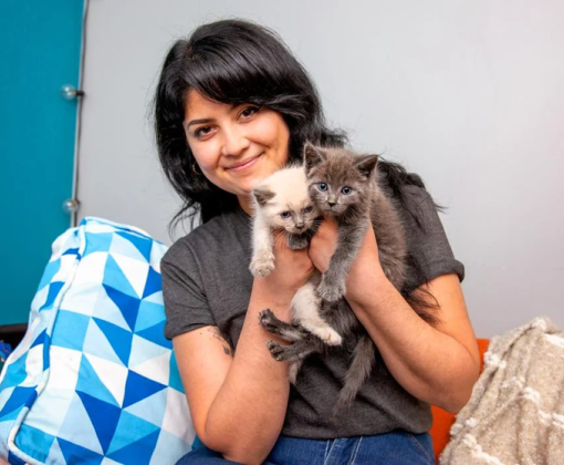 Kittens being held