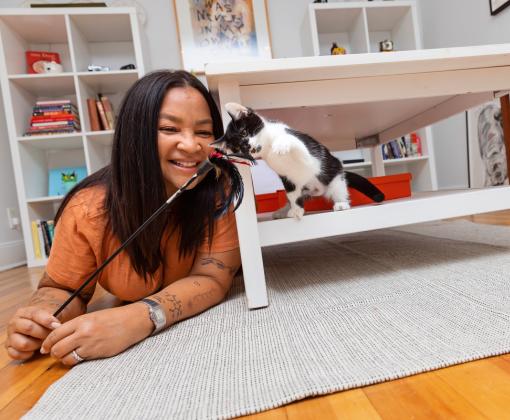 Person playing with a tiny kitten in a home