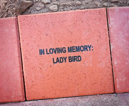 Lady Bird memorial brick placement