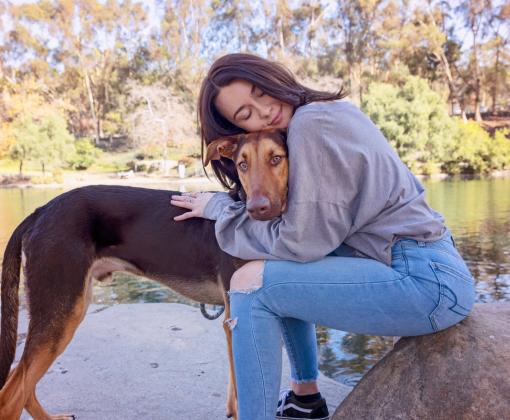 Person hugging a large dog while sitting on a rock in front of a body of water and trees