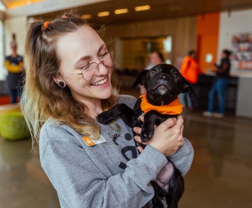 Person holding a cat at the Best Friends Pet Resource Center in Northwest Arkansas