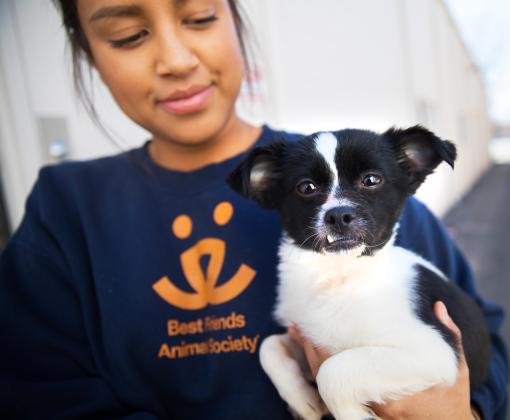 Smiling person holding a tiny dog in their arms