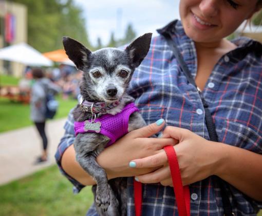 Smiling person holding a small dog at an outdoor pet adoption event in Los Angeles