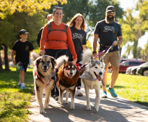 People walking three dogs at Strut Your Mutt