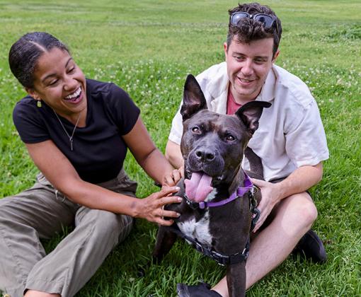 Two people sitting on green grass with a dog